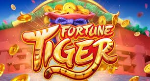 live casino နှင့် RNG casino နှိုင်းယှဉ်ချက် – queen501 တိုက်ရိုက် ကာစီနို table မြင်ကွင်း